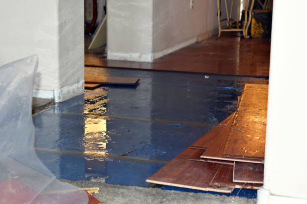 Professional Burst Pipe Cleanup technician working in Wilmington, MA